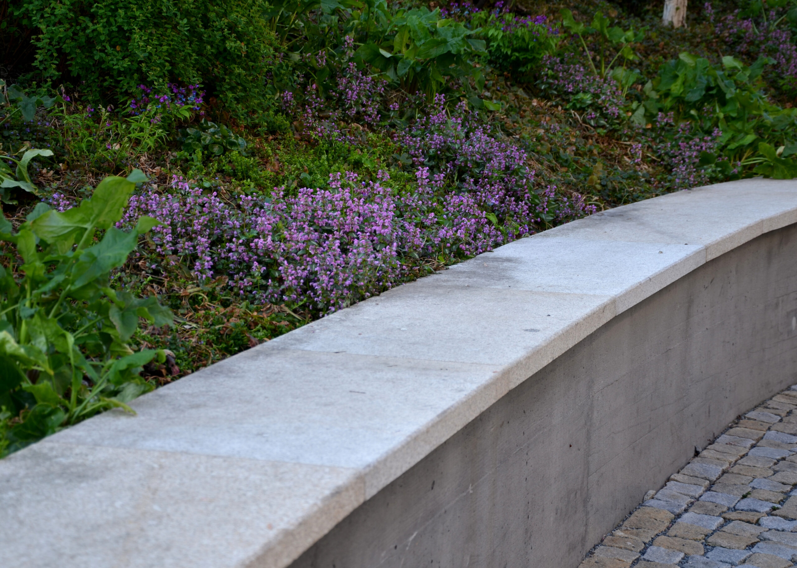 Durable Cement Retaining Wall for Strength & Stability Cement retaining wall providing structural support and erosion control in a landscaped area.